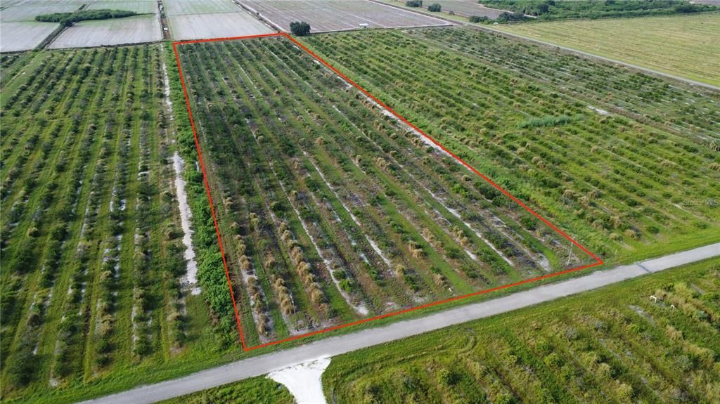 For Sale: $172,500 (10.00 acres)