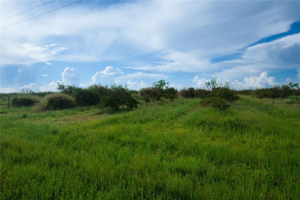 For Sale: $172,500 (10.00 acres)