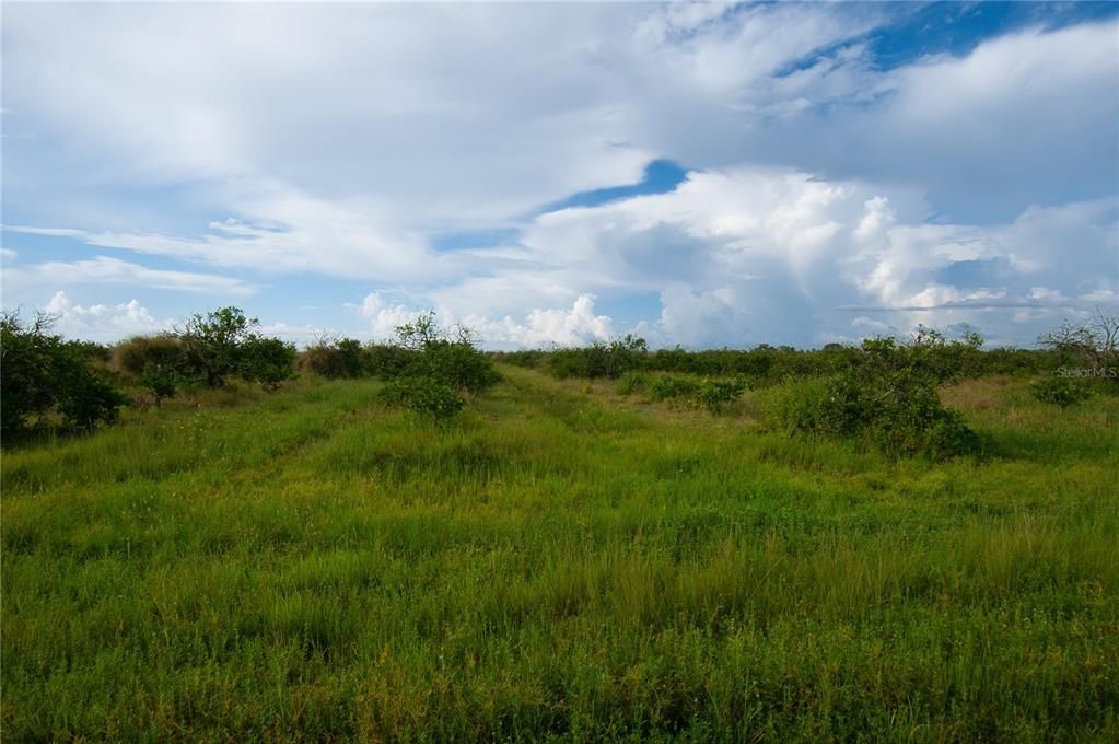 For Sale: $172,500 (10.00 acres)