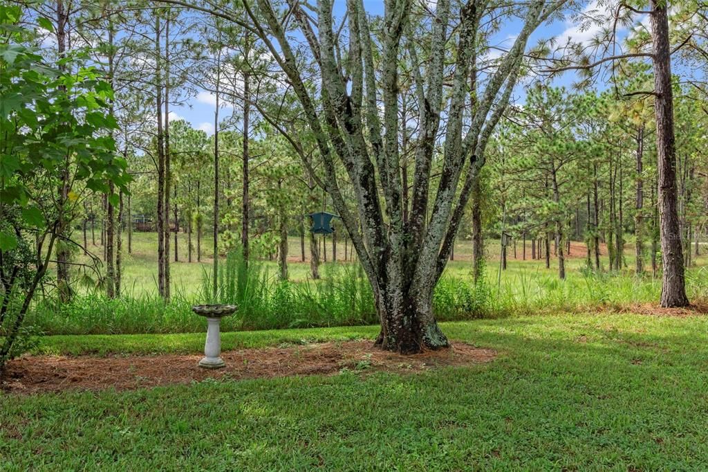 Active With Contract: $499,900 (3 beds, 2 baths, 2196 Square Feet)