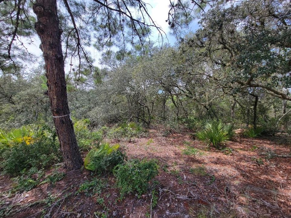 На продажу: $579,000 (6.08 acres)