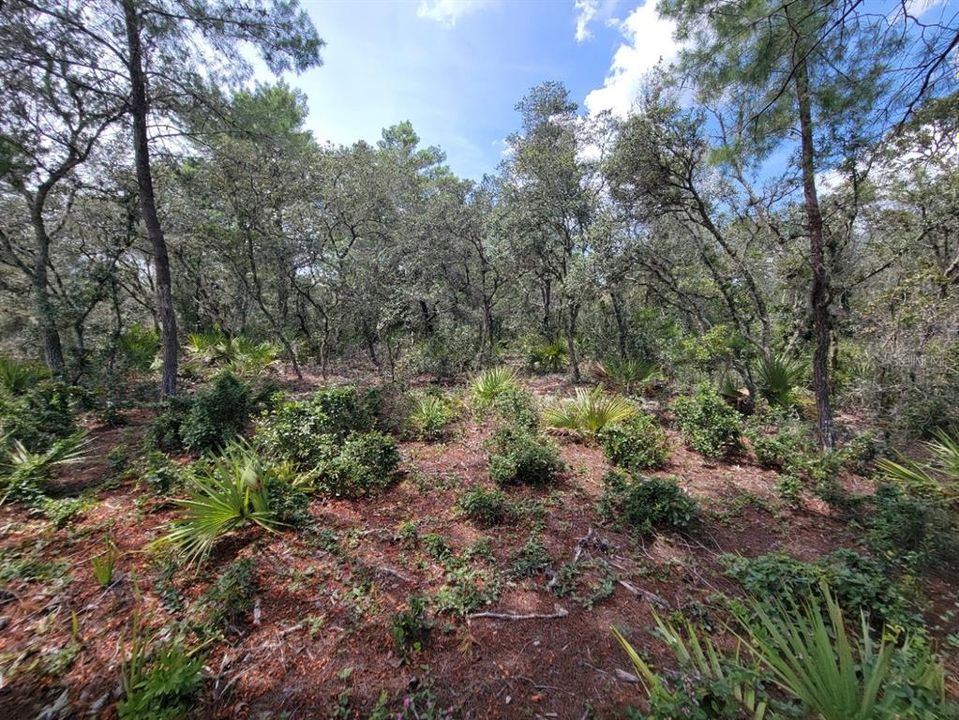 На продажу: $579,000 (6.08 acres)