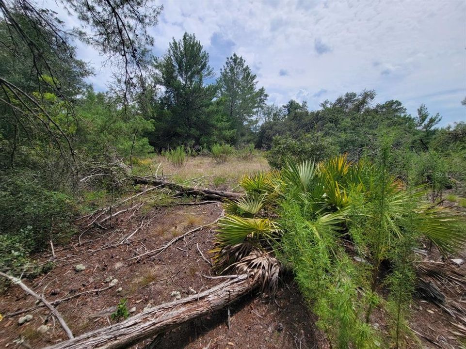 На продажу: $579,000 (6.08 acres)