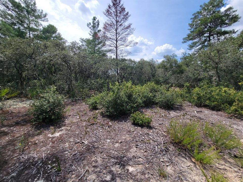 На продажу: $579,000 (6.08 acres)