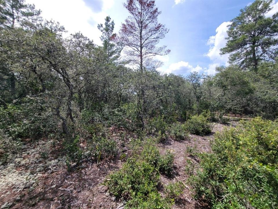 На продажу: $579,000 (6.08 acres)