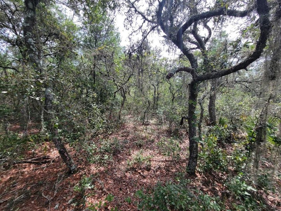 На продажу: $579,000 (6.08 acres)