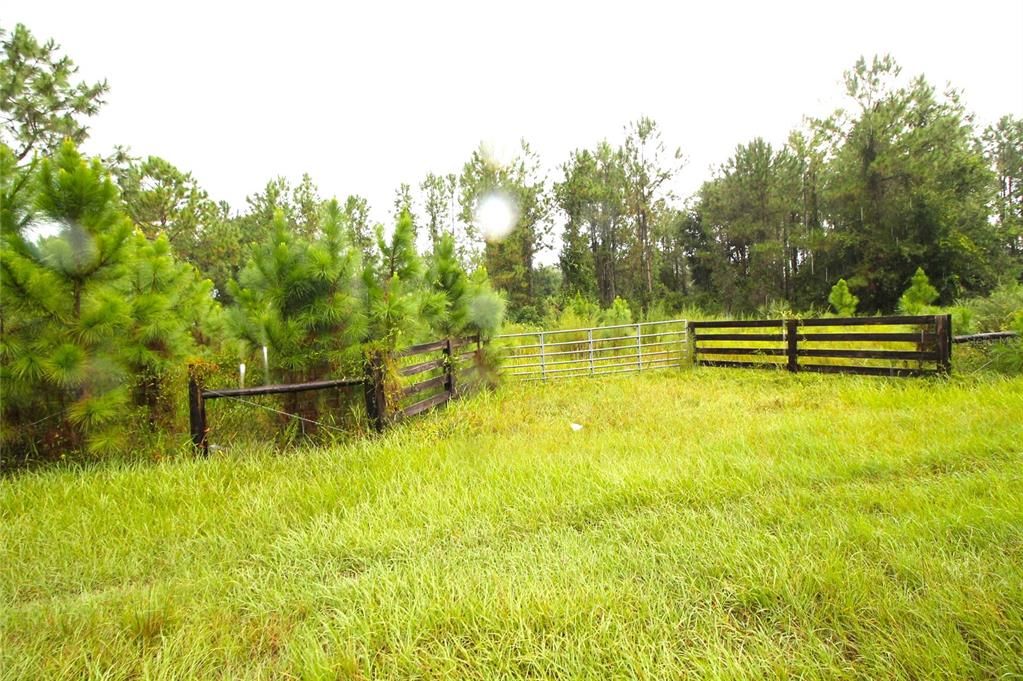 最近售出: $124,900 (5.00 acres)