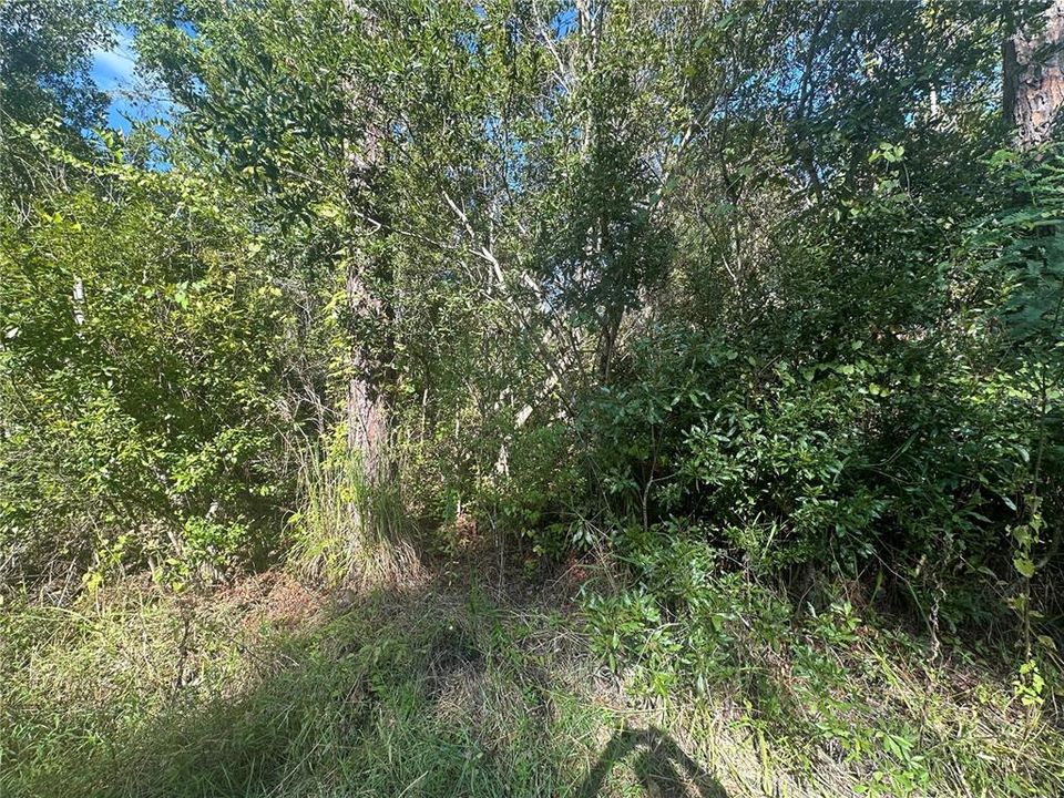 待售: $49,900 (3.13 acres)