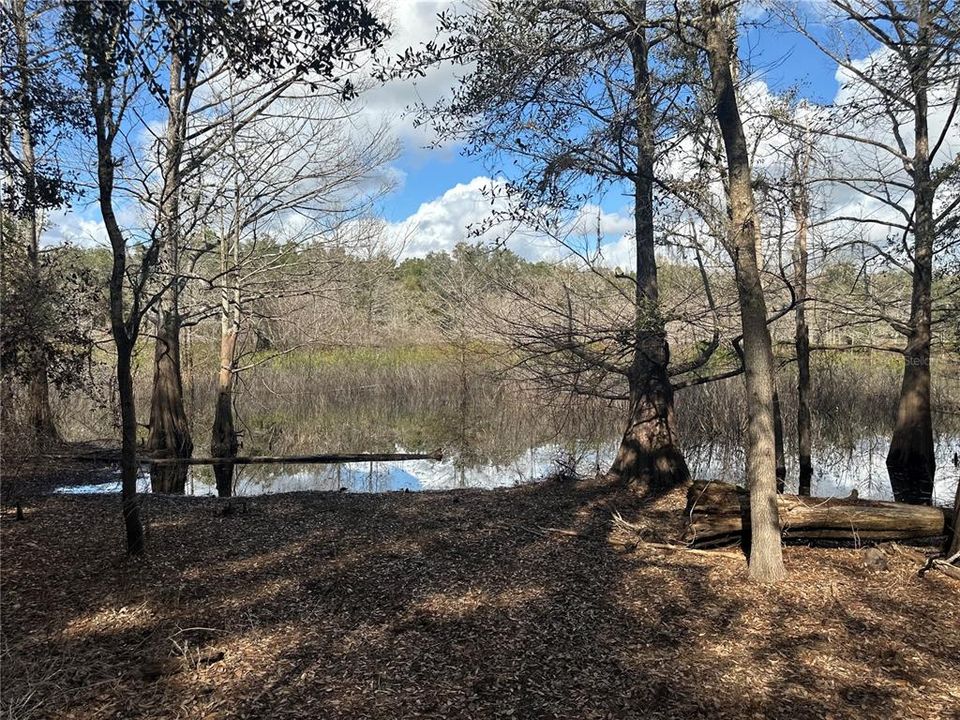 待售: $49,900 (3.13 acres)