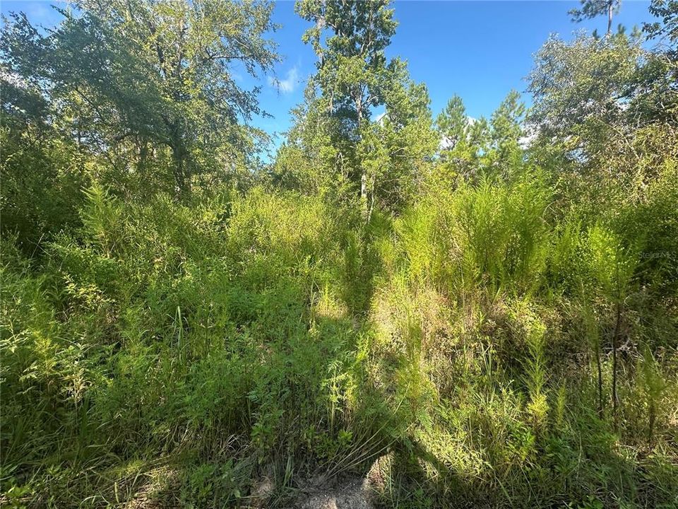 待售: $49,900 (3.13 acres)