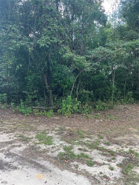 For Sale: $23,000 (0.17 acres)