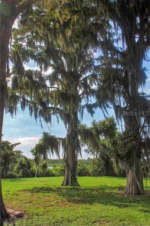 待售: $1,200,000 (1 贝兹, 1 浴室, 515 平方英尺)