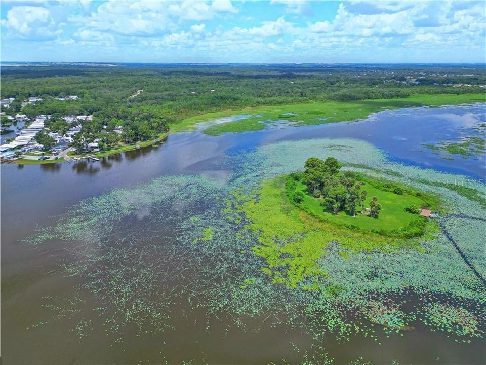 待售: $1,200,000 (1 贝兹, 1 浴室, 515 平方英尺)