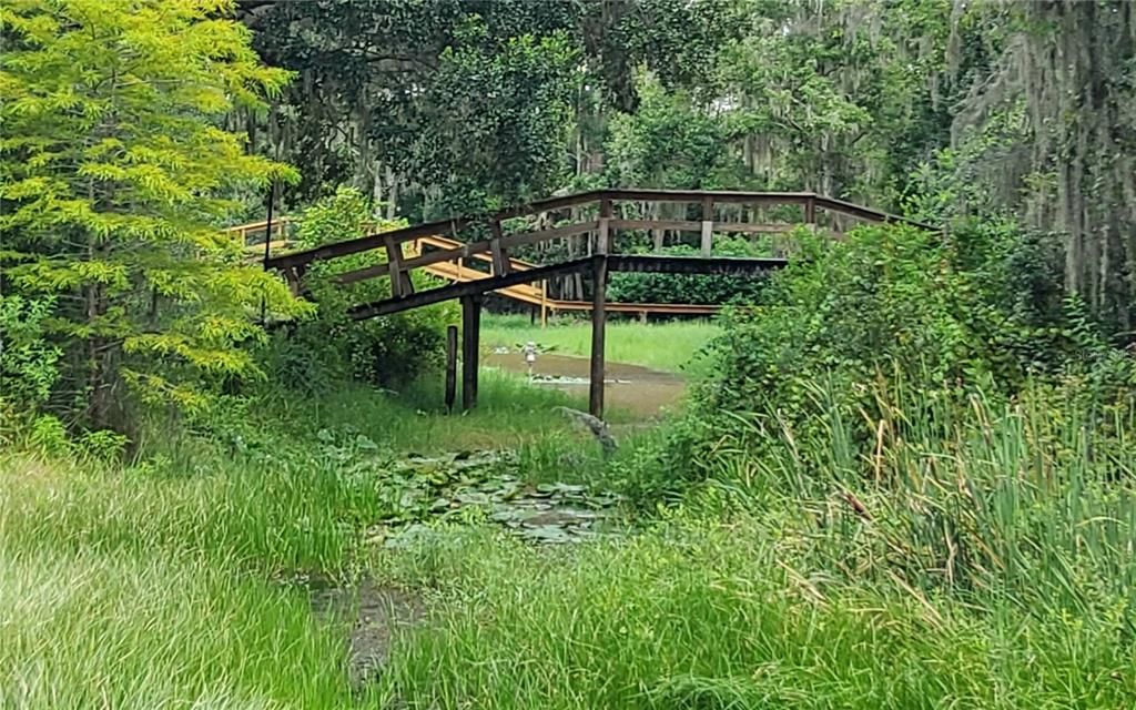 待售: $40,000 (0.22 acres)