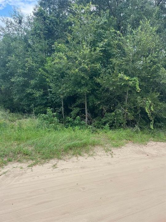 待售: $24,000 (0.17 acres)