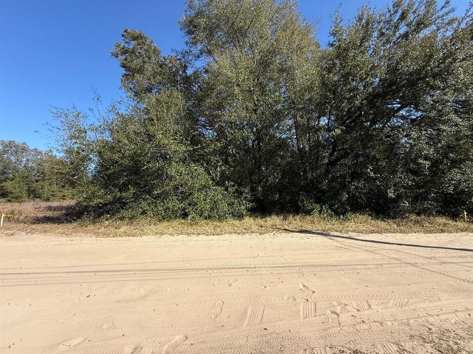 En Venta: $21,900 (0.17 acres)