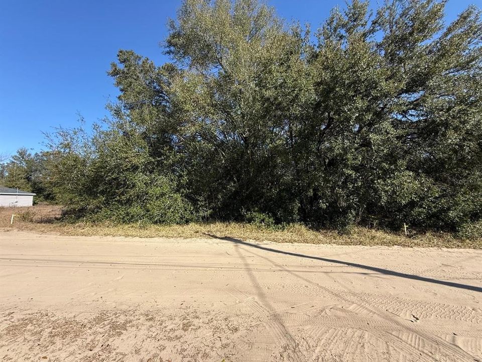 En Venta: $21,900 (0.17 acres)