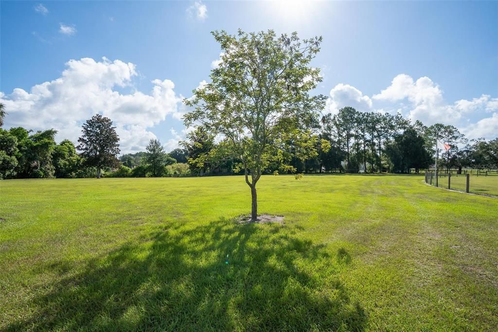 For Sale: $450,000 (6.30 acres)