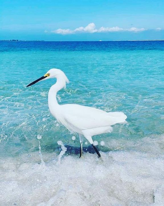 For Sale: $280,000 (3 beds, 2 baths, 1949 Square Feet)