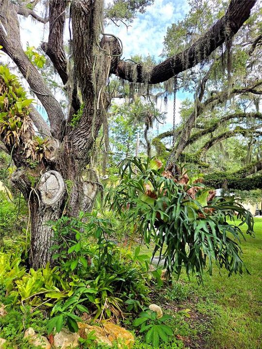 Active With Contract: $950,000 (5.00 acres)