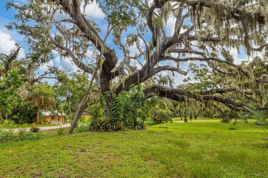 Active With Contract: $950,000 (5.00 acres)