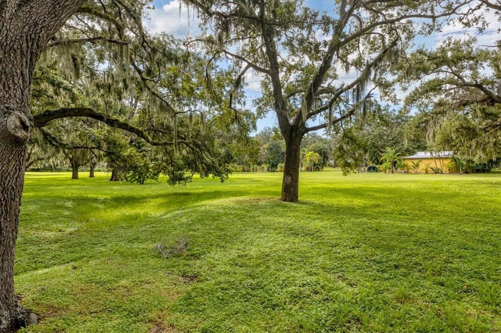 Active With Contract: $950,000 (5.00 acres)