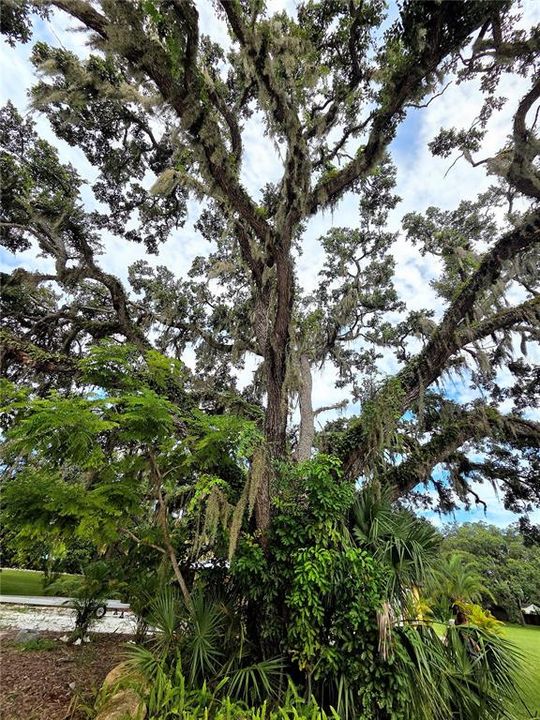 Active With Contract: $950,000 (5.00 acres)