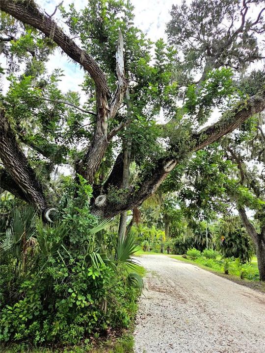 Active With Contract: $950,000 (5.00 acres)