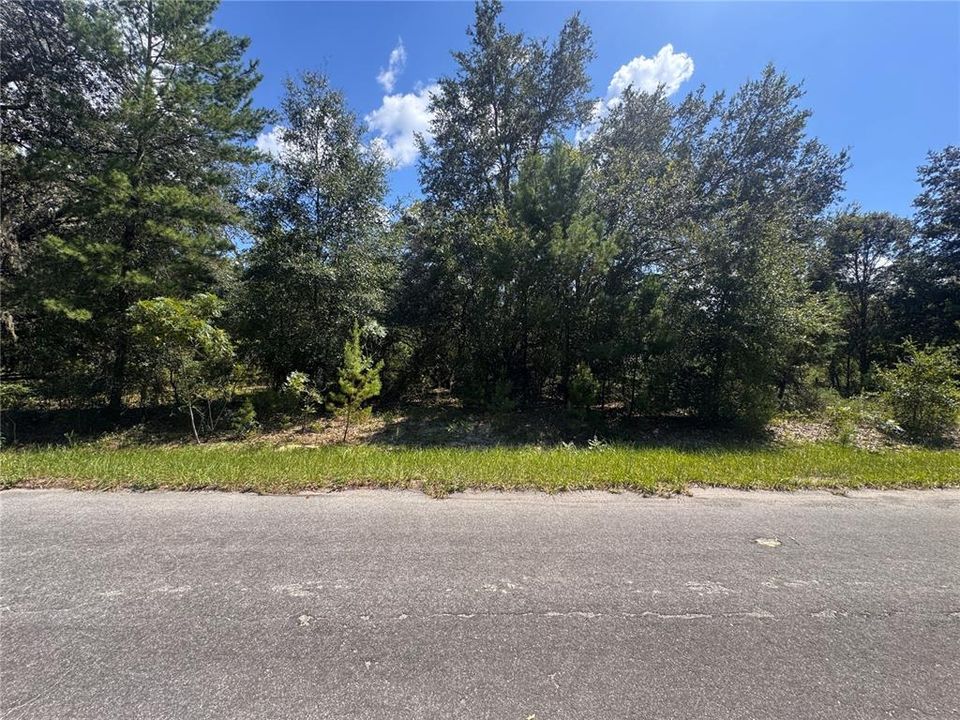 待售: $25,500 (0.26 acres)