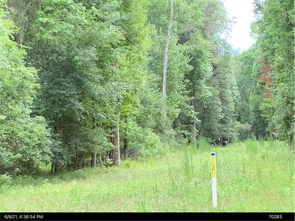 Недавно продано: $125,000 (10.00 acres)