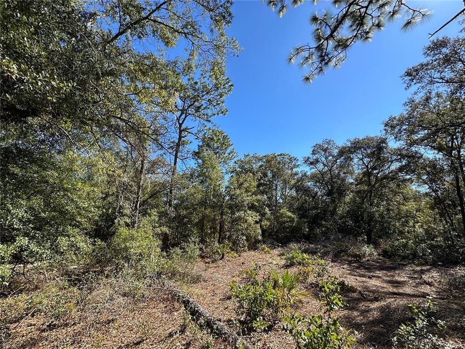 For Sale: $33,000 (1.25 acres)