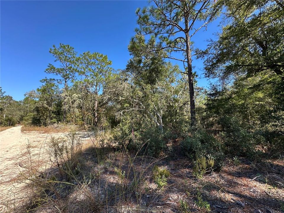 For Sale: $33,000 (1.25 acres)