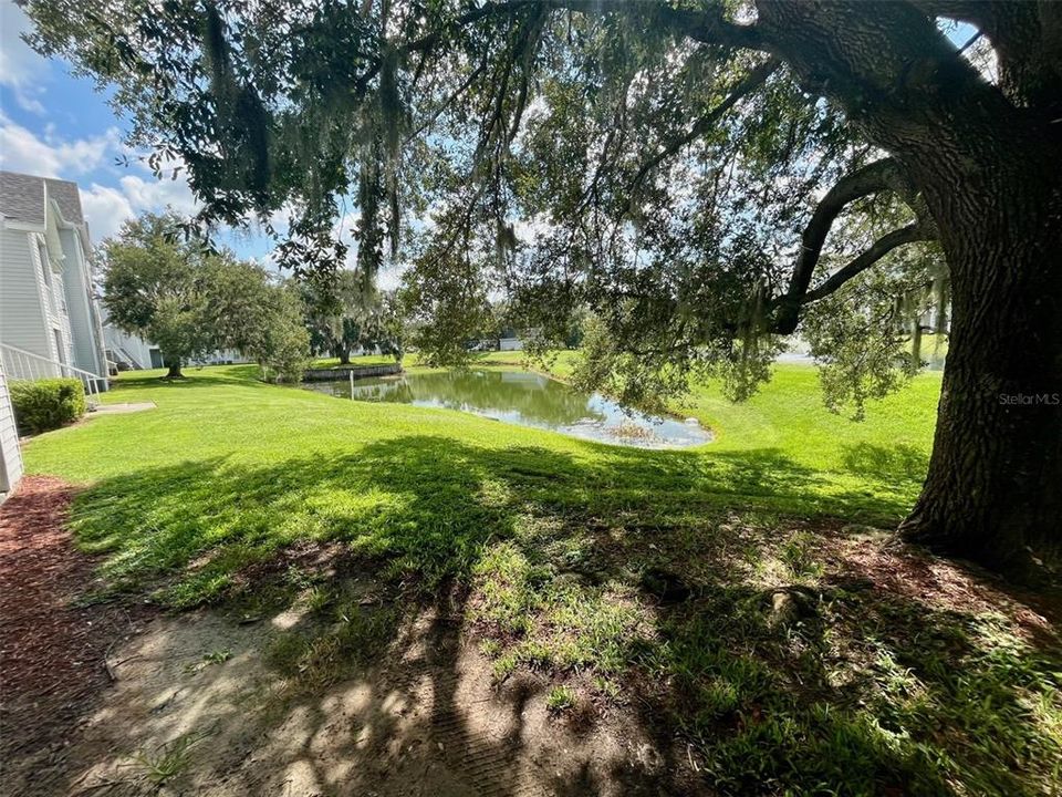 Active With Contract: $1,150 (1 beds, 1 baths, 733 Square Feet)