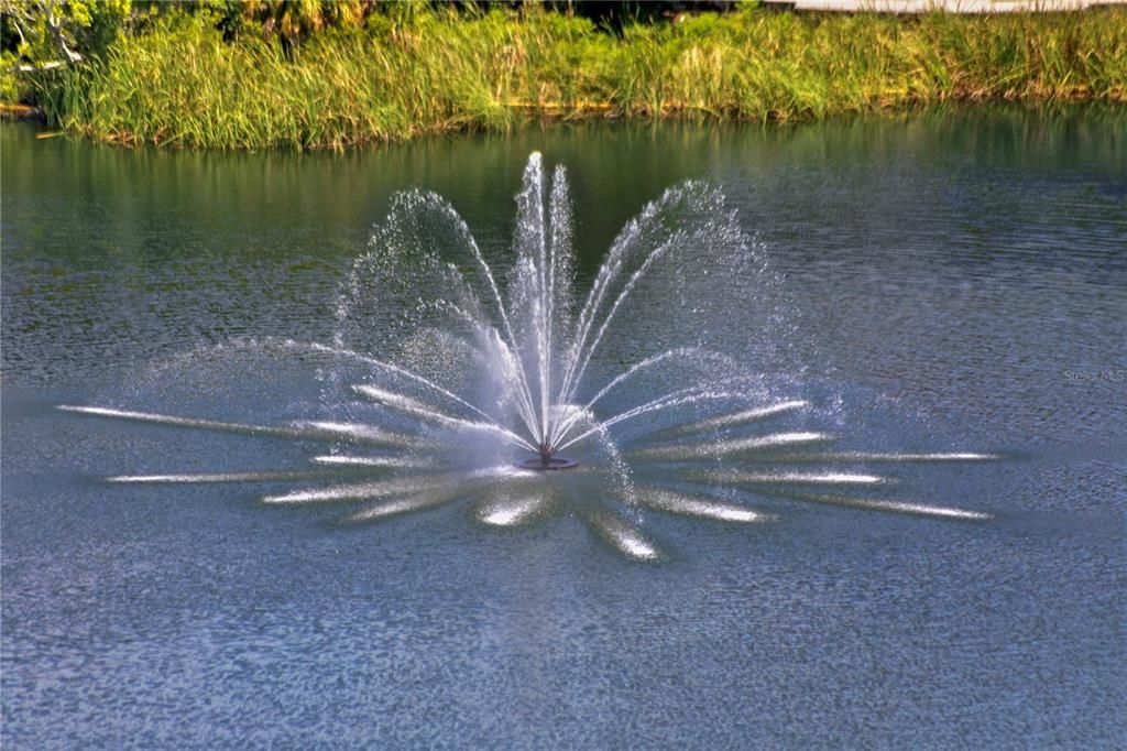 出租: $6,900 (2 贝兹, 2 浴室, 1753 平方英尺)