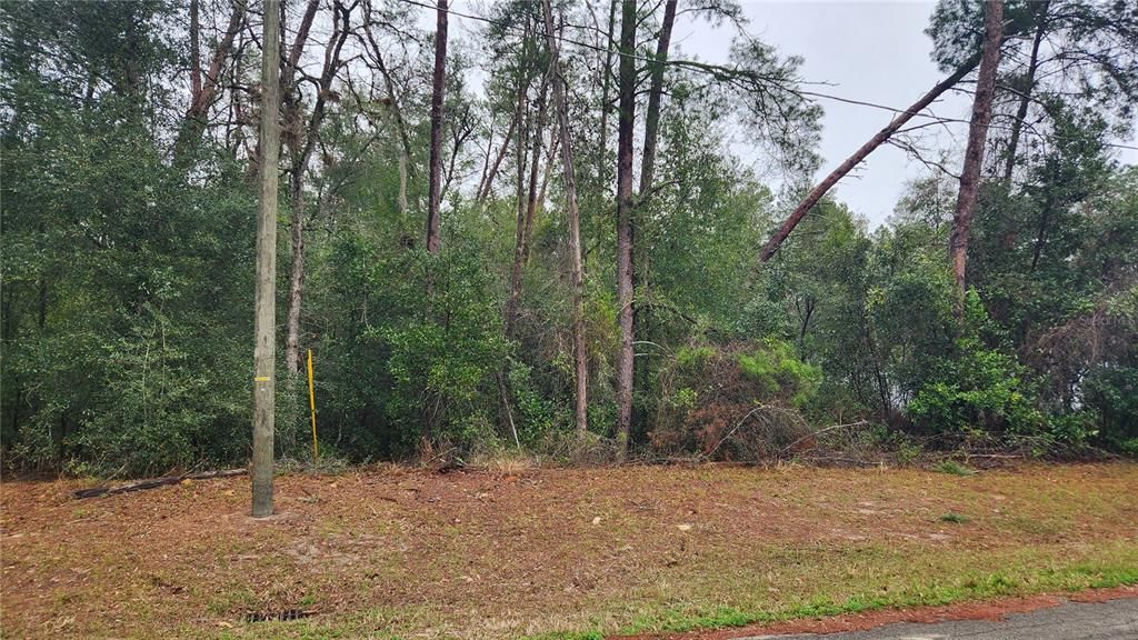 На продажу: $49,500 (0.57 acres)