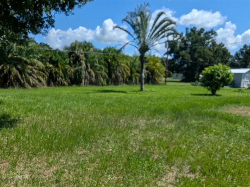 For Sale: $275,000 (3 beds, 1 baths, 1128 Square Feet)