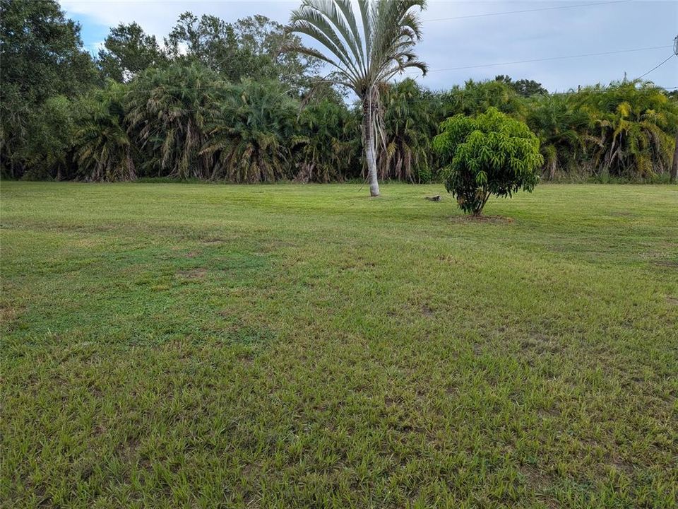 For Sale: $275,000 (3 beds, 1 baths, 1128 Square Feet)