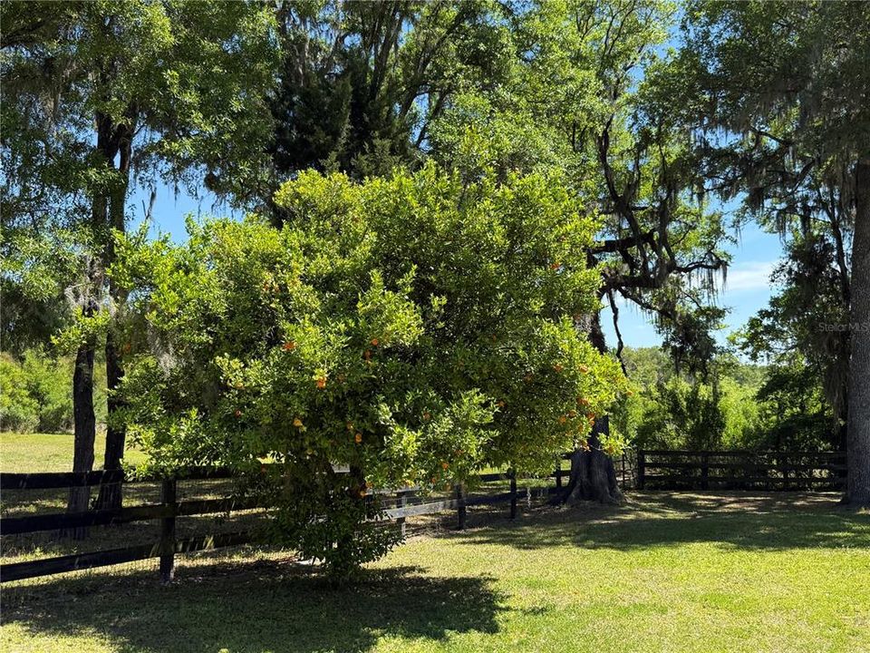 En Venta: $619,000 (3 camas, 2 baños, 1791 Pies cuadrados)