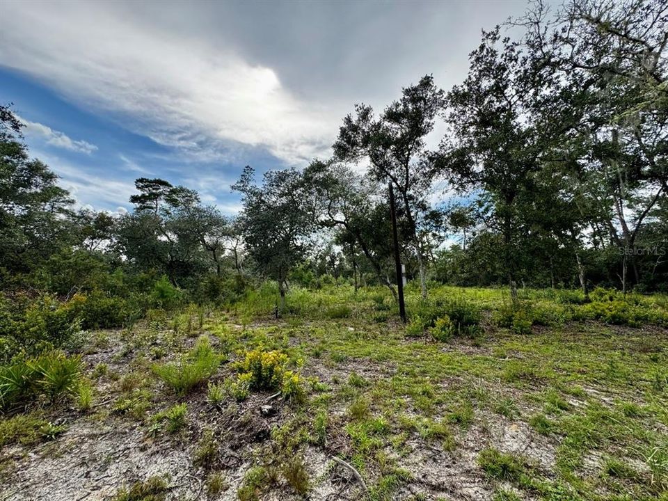 待售: $92,000 (2 贝兹, 1 浴室, 676 平方英尺)