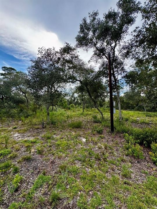 待售: $92,000 (2 贝兹, 1 浴室, 676 平方英尺)