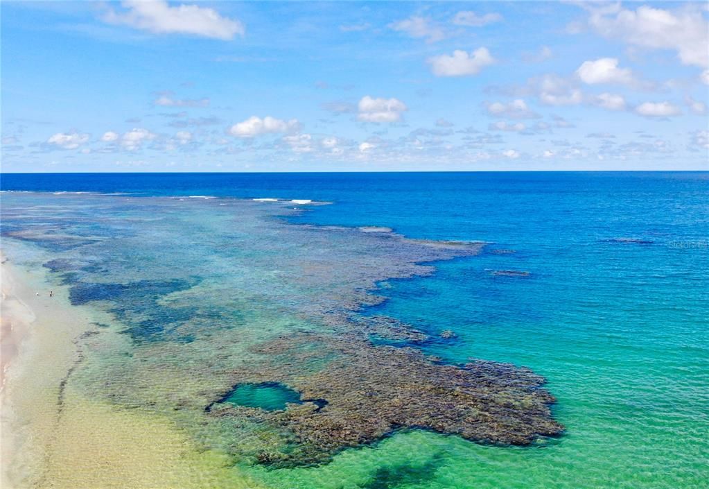 На продажу: $499,000 (3 спален, 2 ванн, 1250 Квадратных фут)