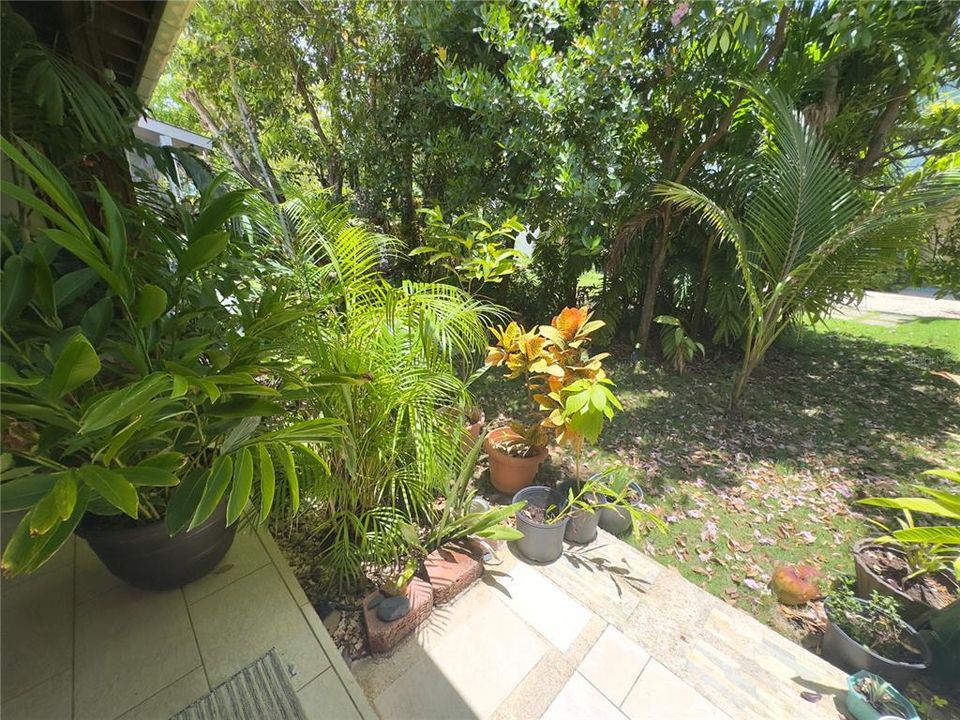 На продажу: $499,000 (3 спален, 2 ванн, 1250 Квадратных фут)