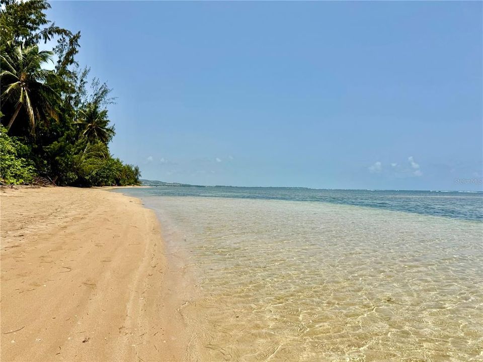 На продажу: $499,000 (3 спален, 2 ванн, 1250 Квадратных фут)