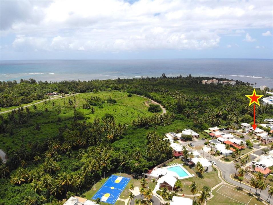 На продажу: $499,000 (3 спален, 2 ванн, 1250 Квадратных фут)