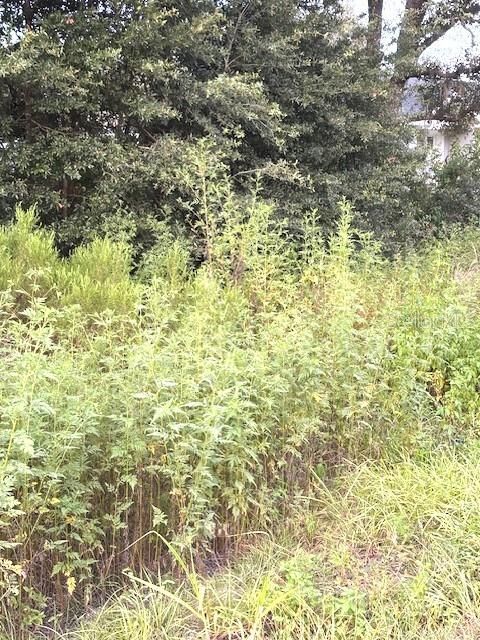 En Venta: $24,300 (0.22 acres)