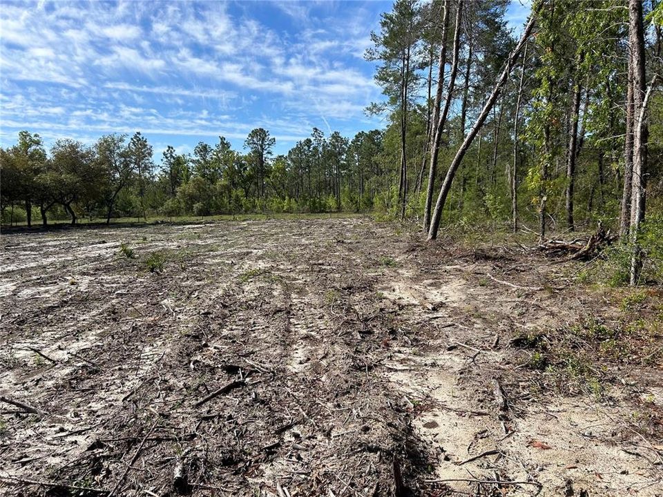 For Sale: $90,000 (1.00 acres)