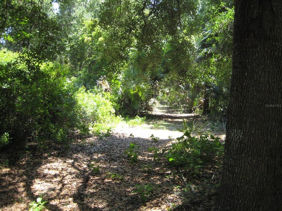 Под контрактом: $1,200,000 (53.30 acres)