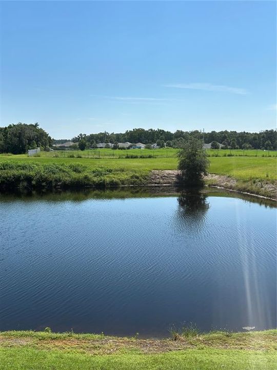 合同活跃: $135,000 (2 贝兹, 2 浴室, 1110 平方英尺)