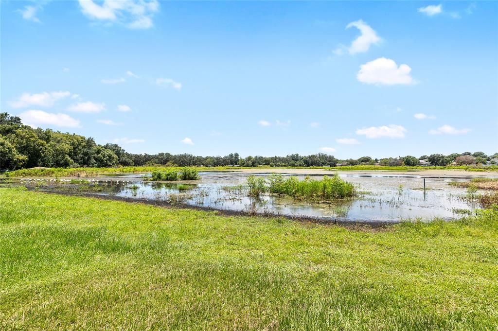 For Sale: $335,000 (1.98 acres)