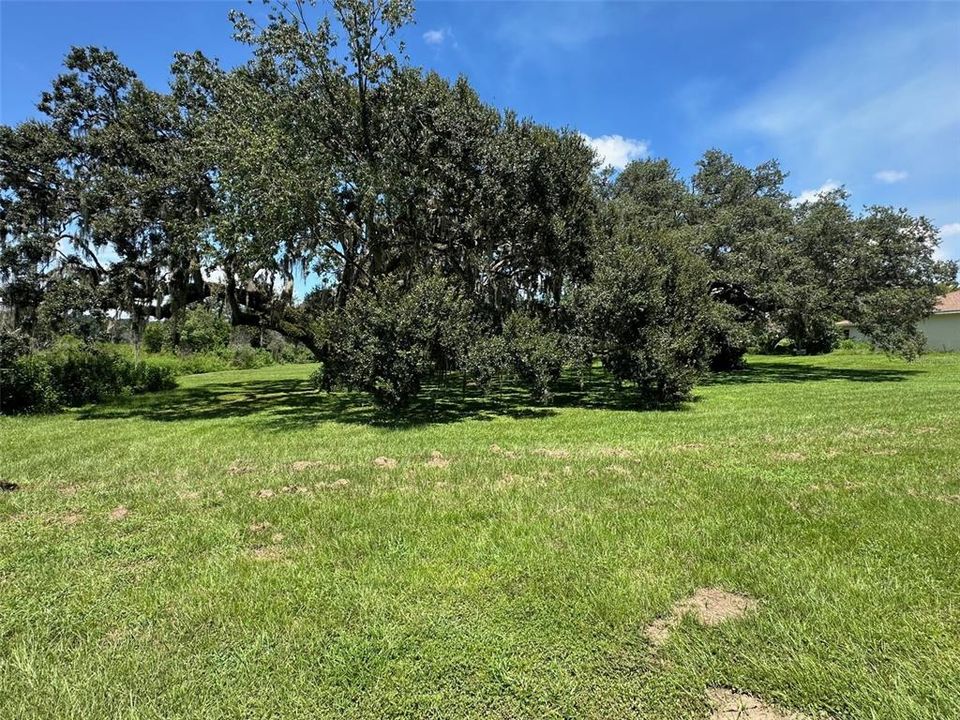 Под контрактом: $125,000 (1.14 acres)